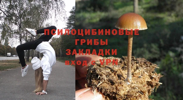 гидропоника Снежинск