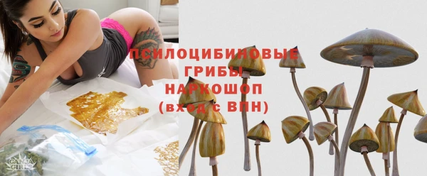 прущая мука Арсеньев