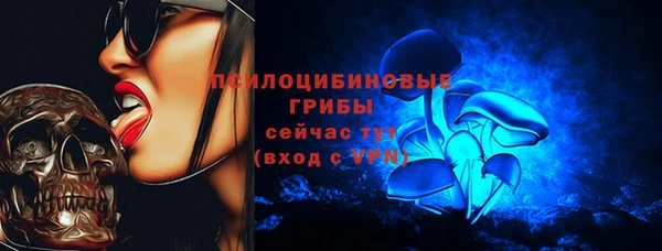 прущая мука Арсеньев
